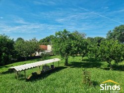 Sítio com 10.000m² no bairro Lomba Grande  
