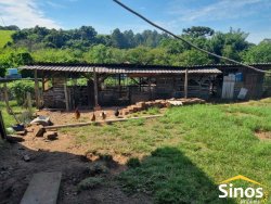 Sítio com 10.000m² no bairro Lomba Grande  
