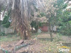 Terreno com 435,6m² no bairro Guarani 