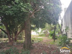 Terreno com 435,6m² no bairro Guarani 