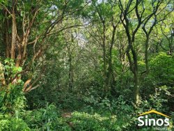 Sítio com 5.700m² no bairro Lomba Grande 