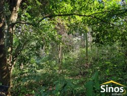 Sítio com 5.700m² no bairro Lomba Grande 