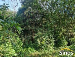 Sítio com 5.700m² no bairro Lomba Grande 