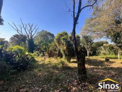 Sítio com 14,00 hectares em Lomba Grande  