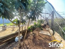 Terreno com chalé no bairro Capão da Cruz 