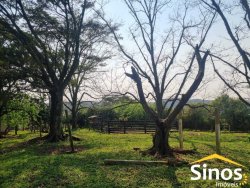 Sítio com 2,00 hectares no bairro Lomba Grande 