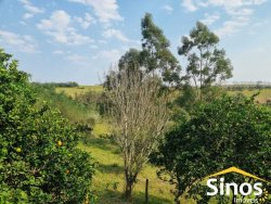 Sítio com 2,00 hectares no bairro Lomba Grande 