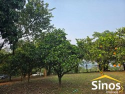 Sítio com 10.700m² no bairro Lomba Grande 