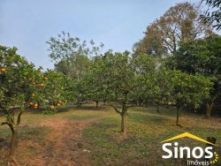 Sítio com 10.700m² no bairro Lomba Grande 