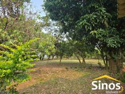 Sítio com 10.700m² no bairro Lomba Grande 
