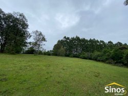 Sítio com 2,8 hectares no bairro Lomba Grande 