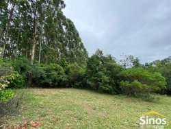 Sítio com 2,8 hectares no bairro Lomba Grande 