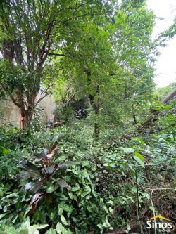 Terreno com 765m² no bairro Rio Branco  