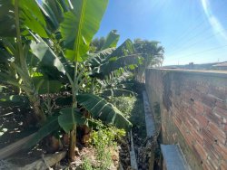 Imóvel no bairro Ouro Branco  