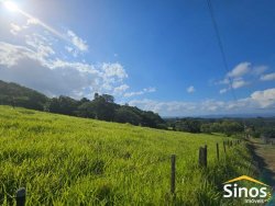 Sítio com 5,00 hectares no bairro Lomba Grande 