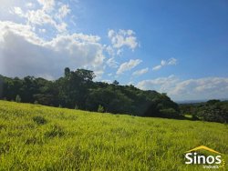 Sítio com 5,00 hectares no bairro Lomba Grande 