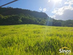 Sítio com 5,00 hectares no bairro Lomba Grande 