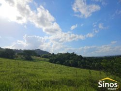 Sítio com 5,00 hectares no bairro Lomba Grande 