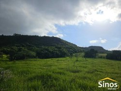 Sítio com 5,00 hectares no bairro Lomba Grande 