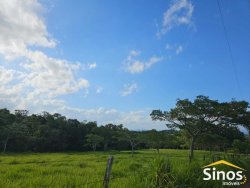 Sítio com 5,00 hectares no bairro Lomba Grande 