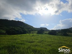 Sítio com 5,00 hectares no bairro Lomba Grande 