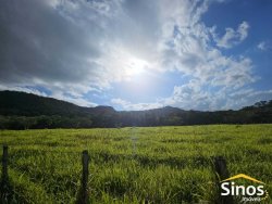 Sítio com 5,00 hectares no bairro Lomba Grande 