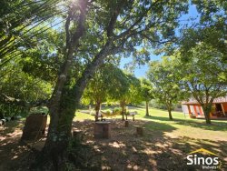 Sitio com 5,5 hectares no bairro Lomba Grande 