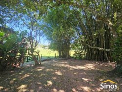 Sitio com 5,5 hectares no bairro Lomba Grande 