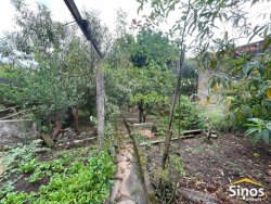 Casa com 03 dormitórios para locação no bairro Rondônia 