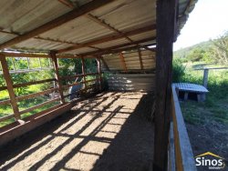 Sítio com 2,0 hectares no bairro Lomba Grande 
