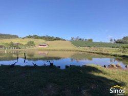 Sítio com 2,0 hectares no bairro Lomba Grande 