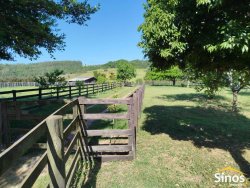 Sítio com 2,0 hectares no bairro Lomba Grande 