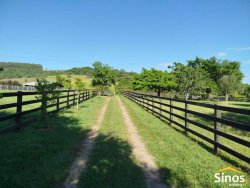 Sítio com 2,0 hectares no bairro Lomba Grande 