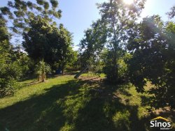 Sítio com 2,0 hectares no bairro Lomba Grande 