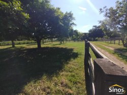 Sítio com 2,0 hectares no bairro Lomba Grande 