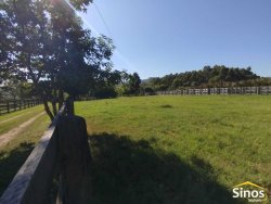 Sítio com 2,0 hectares no bairro Lomba Grande 
