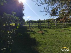 Sítio com 2,0 hectares no bairro Lomba Grande 