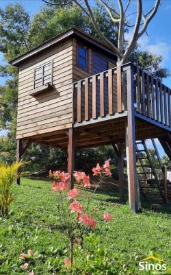 Sítio com 2.500m² no bairro Lomba Grande 