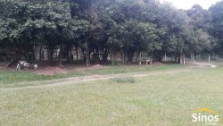Sítio com 5.120m² no bairro São Borja 