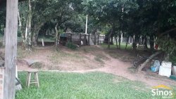 Sítio com 5.120m² no bairro São Borja 