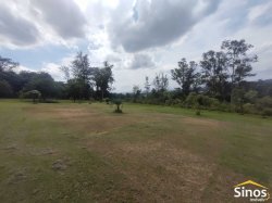 Sítio com 5.120m² no bairro São Borja 