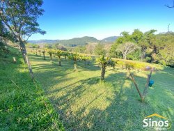 Sítio com 4,00 hectares no bairro Lomba Grande 