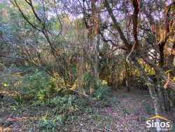 Sítio com 7.000m² para locação no bairro Lomba Grande  