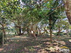 Casa com 03 dormitórios, sendo 01 suíte no Condomínio Terra Verde 