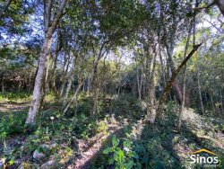 Sítio com 5.000m² para locação no bairro Lomba Grande 