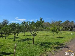 Chácara com 4,00 hectares no bairro Lomba Grande 