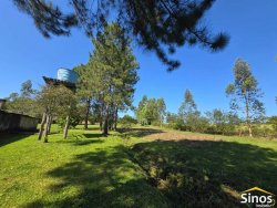 Chácara com 4,00 hectares no bairro Lomba Grande 