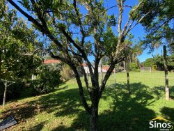 Casa com 04 dormitórios para locação no bairro Lomba Grande  