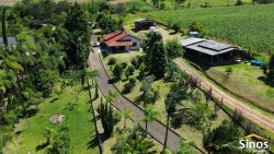 Sítio com 3.054,00m² no bairro Lomba Grande 