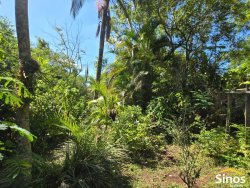 Sítio com 2,00 hectares no bairro Lomba Grande 